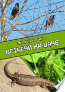 Встречи на даче