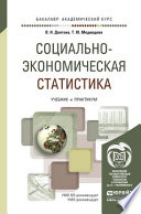 Социально-экономическая статистика. Учебник и практикум для академического бакалавриата