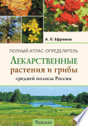 Лекарственные растения и грибы средней полосы России