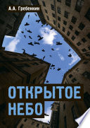 Открытое небо