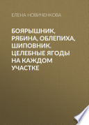 Боярышник, рябина, облепиха, шиповник. Целебные ягоды на каждом участке