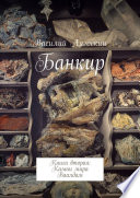 Банкир. Книга вторая: Камни мира Ваалдам