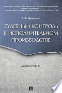 Судебный контроль в исполнительном производстве. Монография