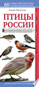 Птицы России. Наглядный карманный определитель