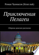 Приключения Пелагеи. Сборник дамских рассказов