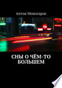 Сны о чём-то большем. Сборник рассказов