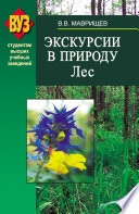 Экскурсии в природу. Лес