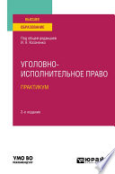 Уголовно-исполнительное право. Практикум 2-е изд. Учебное пособие для вузов