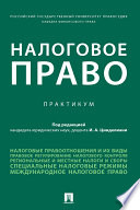 Налоговое право. Практикум