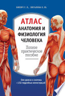 Атлас: анатомия и физиология человека. Полное практическое пособие