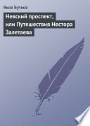 Невский проспект, или Путешествия Нестора Залетаева