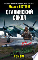 Сталинский сокол. Комдив