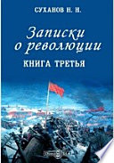 Записки о революции. Книга третья