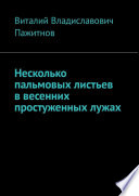 Несколько пальмовых листьев в весенних простуженных лужах