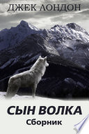 Сын Волка