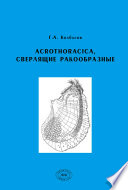 Acrothoracica, сверлящие ракообразные