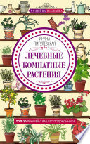 Лечебные комнатные растения. ТОП-20 лекарей с вашего подоконника