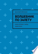 Волшебник по залету. Книга вторая. Тайны Злого Леса