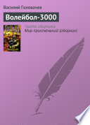 Волейбол-3000