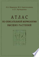 Атлас по описательной морфологии высших растений = Organographia Illustrata Plantarum Vascularium : Стебель и корень