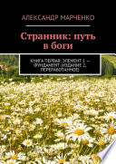 Странник: путь в боги. Книга первая: элемент 1 – фундамент (издание 2, переработанное)