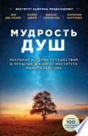 Мудрость душ. Реальные истории путешествий в прошлые жизни от Института Майкла Ньютона