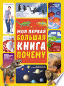 Моя первая большая книга ПОЧЕМУ