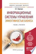 Информационные системы управления эффективностью бизнеса. Учебник и практикум для бакалавриата и магистратуры