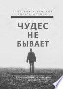 Чудес не бывает. Книга I