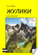 Жулики. Книга 4