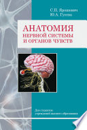 Анатомия нервной системы и органов чувств