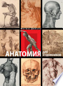 Анатомия для художников