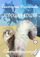 Хорошая кошка