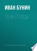 Тень птицы