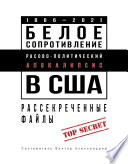 Белое сопротивление. Расово-политический апокалипсис в США. Рассекреченные файлы