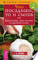 Что посадишь, то и съешь. Часть 2. Корнеплоды, луки, чесноки и огородная зелень