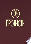 Протисты: Руководство по зоологии