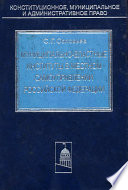 Муниципально-властные институты в местном самоуправлении Российской Федерации