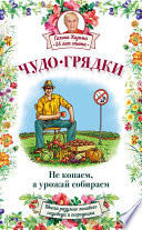 Чудо-грядки: не копаем, а урожай собираем