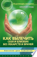 Как вылечить себя и близких без лекарств и врачей. Биоэнио для чайников