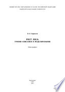 Рост леса: уровни описания и моделирования