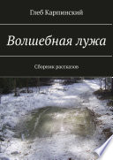 Волшебная лужа. Сборник рассказов