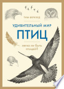 Удивительный мир птиц: Легко ли быть птицей?