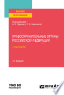 Правоохранительные органы Российской Федерации. Практикум 3-е изд., пер. и доп. Учебное пособие для вузов