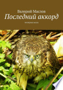 Последний аккорд. Четвёртая книга