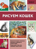 Рисуем кошек