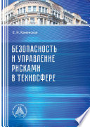 Безопасность и управление рисками в техносфере