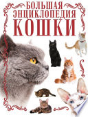 Кошки. Большая энциклопедия