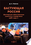 Бастующая Россия. Шахтерские забастовочные комитеты и профсоюзы 1988–1995 гг.