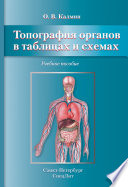 Топография органов в таблицах и схемах. Учебное пособие